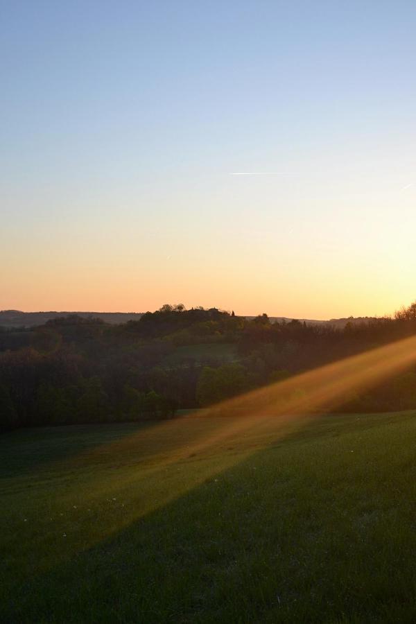 Chambre D'Hote Au Domaine Terre De Chenes Saint-Paul-de-Baise 外观 照片