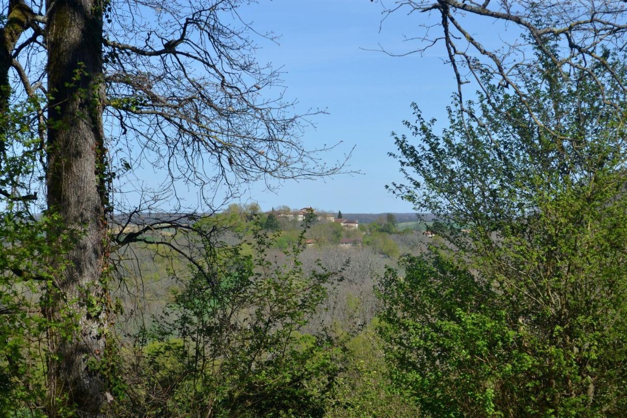 Chambre D'Hote Au Domaine Terre De Chenes Saint-Paul-de-Baise 外观 照片