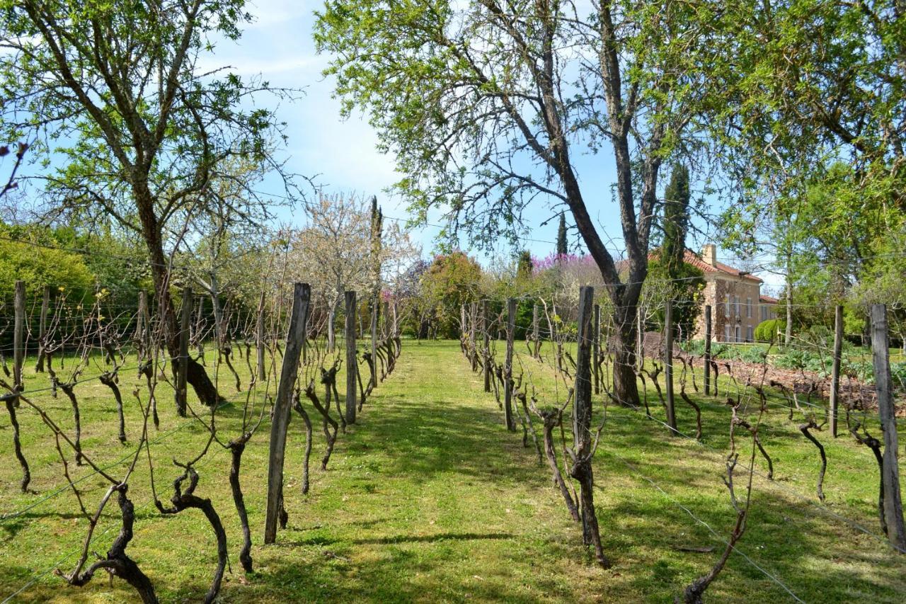 Chambre D'Hote Au Domaine Terre De Chenes Saint-Paul-de-Baise 外观 照片