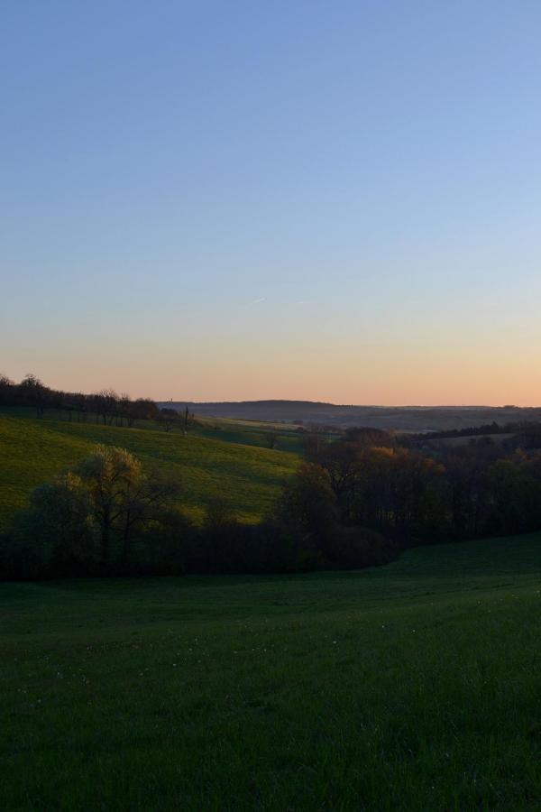Chambre D'Hote Au Domaine Terre De Chenes Saint-Paul-de-Baise 外观 照片