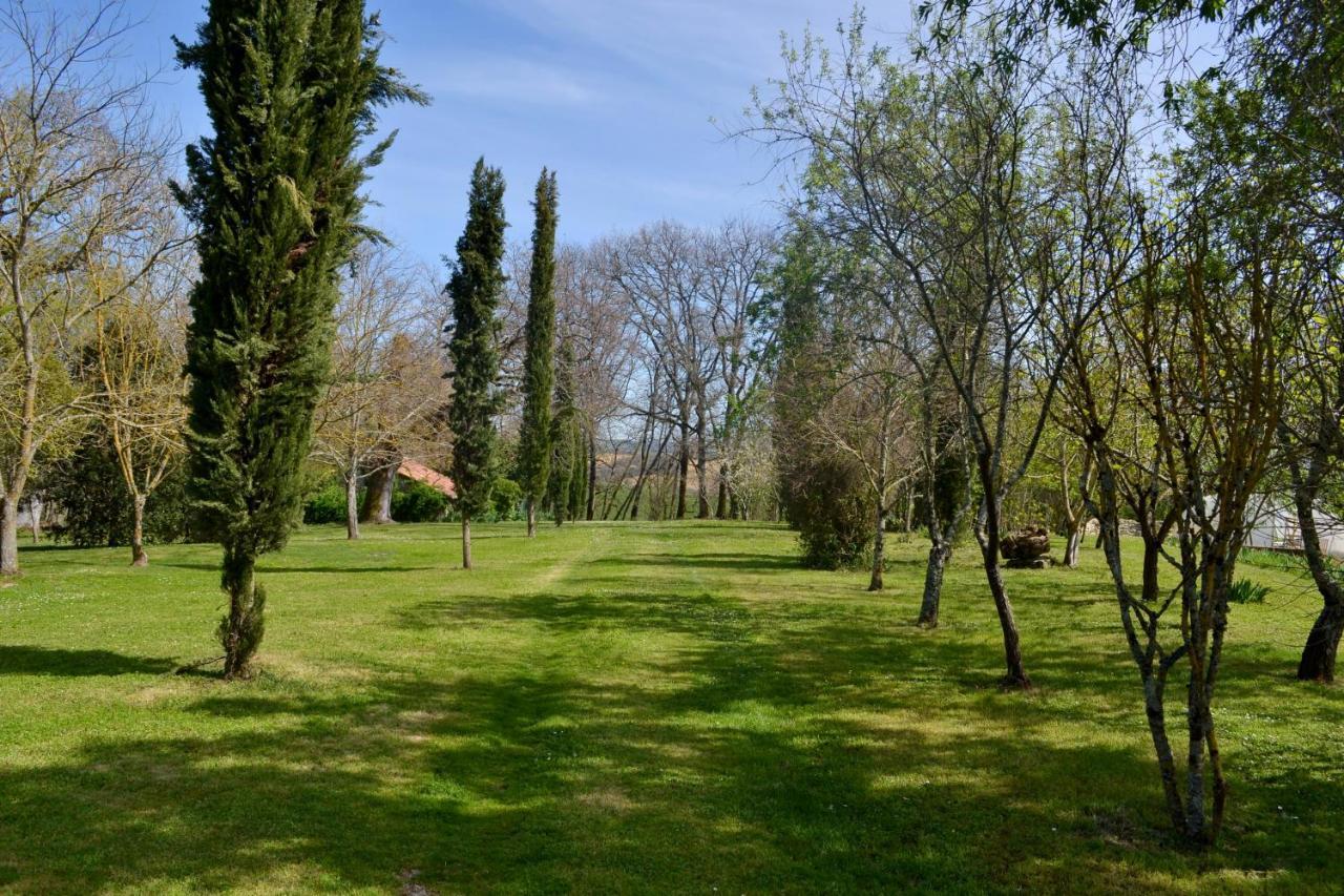 Chambre D'Hote Au Domaine Terre De Chenes Saint-Paul-de-Baise 外观 照片