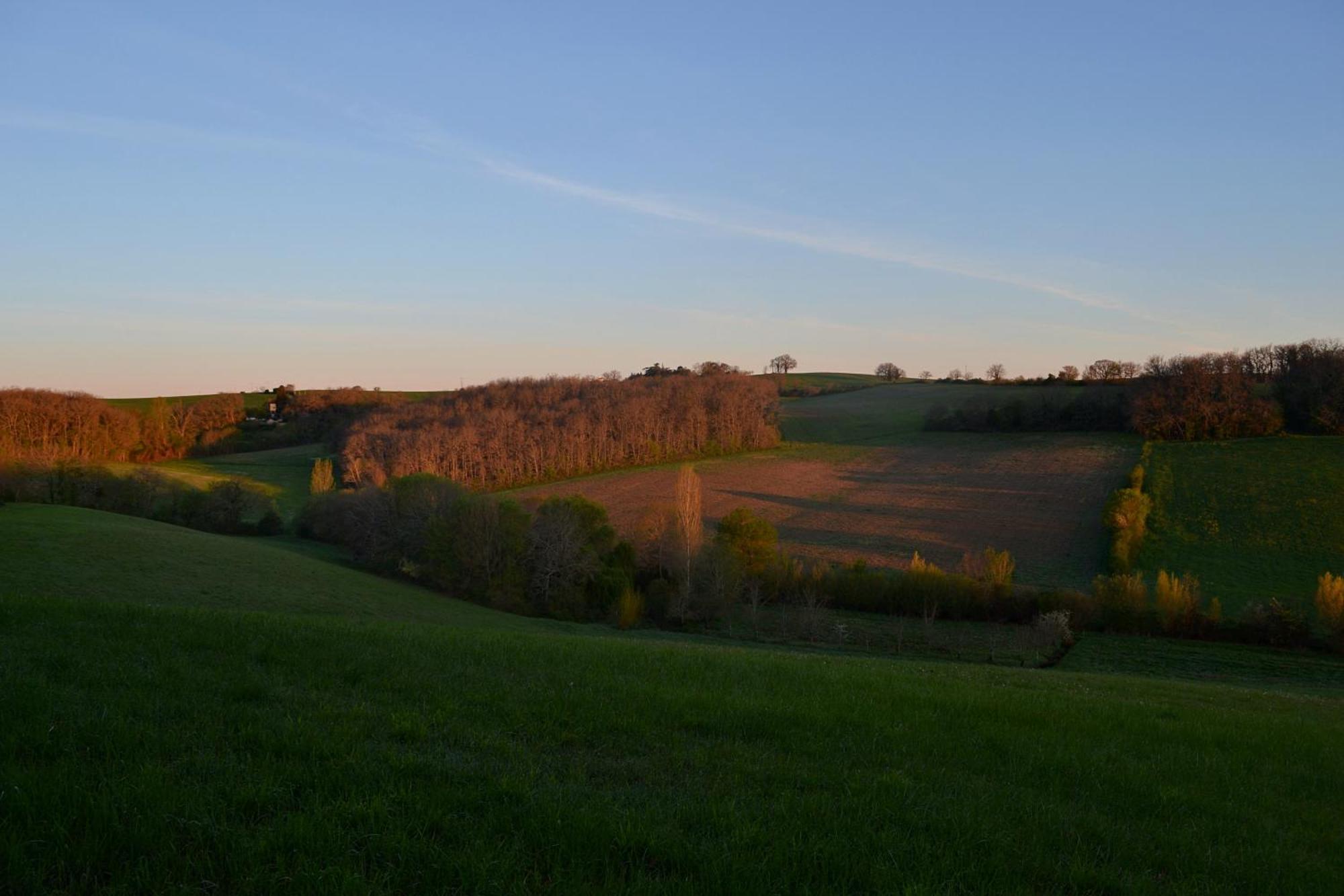 Chambre D'Hote Au Domaine Terre De Chenes Saint-Paul-de-Baise 外观 照片